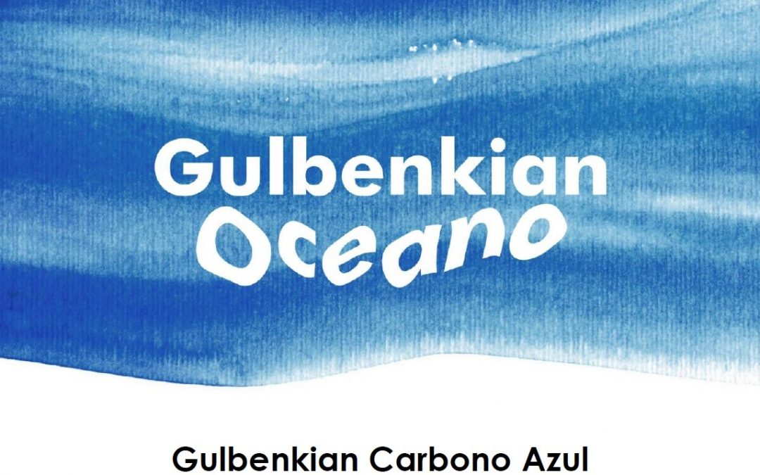 Gulbenkian lança projeto pioneiro em Portugal na área do Carbono Azul ￼
