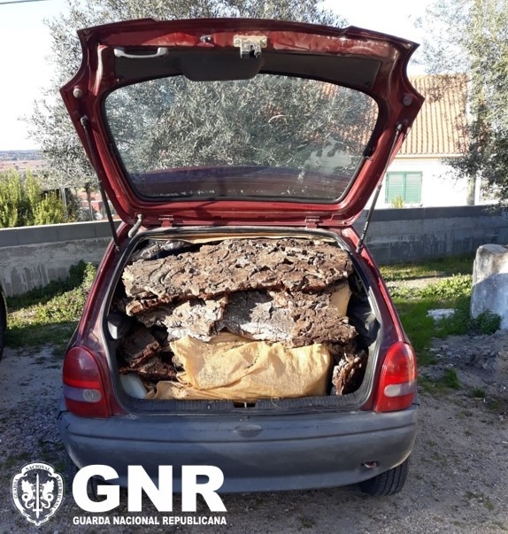 GNR/Mora: Quatro arguidos por furto de cortiça