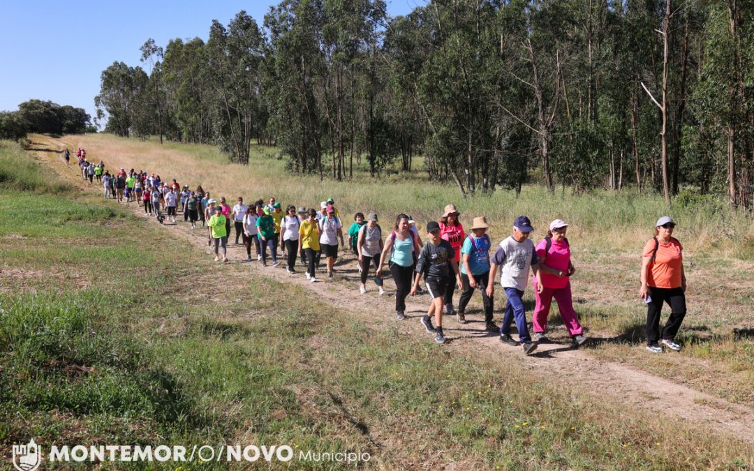  Caminhar Pelas Freguesias ’25 em Foros de Vale de Figueira