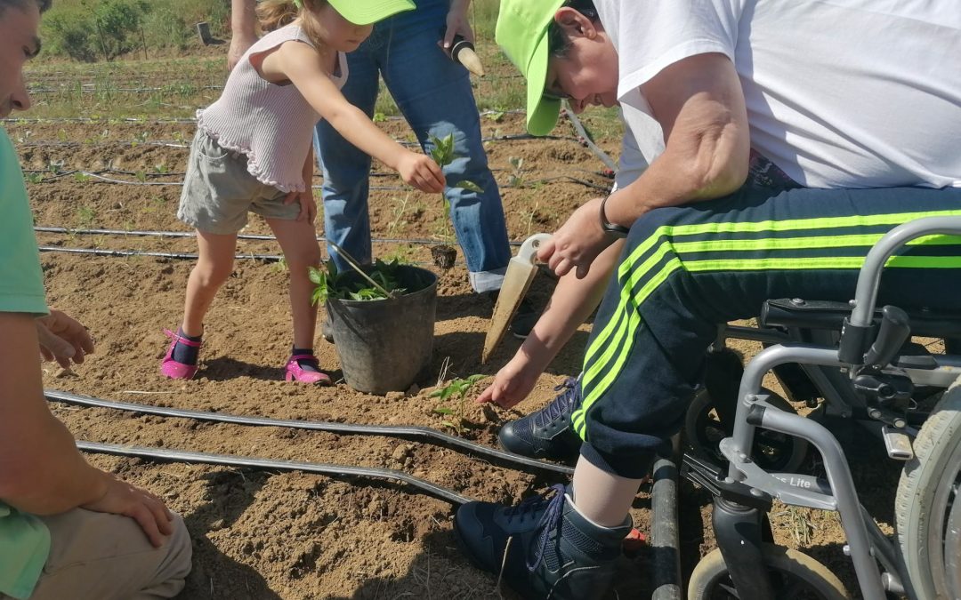 Projeto “À Mesa com a 29″ já arrancou em Montemor-o-Novo