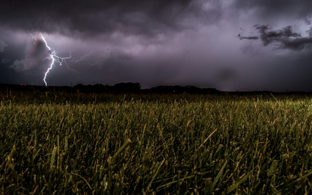 Precipitação e vento: Comando Sub-Regional de Emergência e Proteção Civil do Alentejo Central emite aviso à população