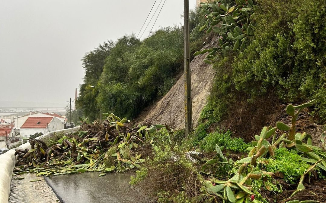Tempestades expõem fragilidades no Alentejo: “O património não tem horário”