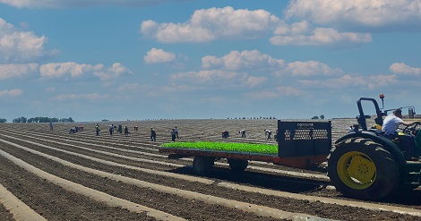 Renovação geracional preocupa agricultura e vai estar em debate no B-Rural Summit