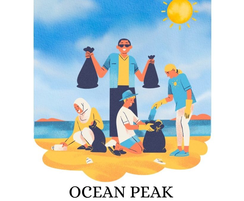 Jovens de cinco países europeus chegam ao Alentejo para projeto “Ocean Peak”